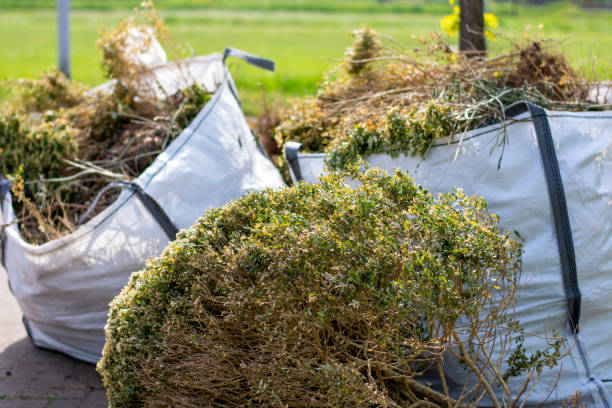 Best Hoarding Cleanup  in Lemoyne, PA